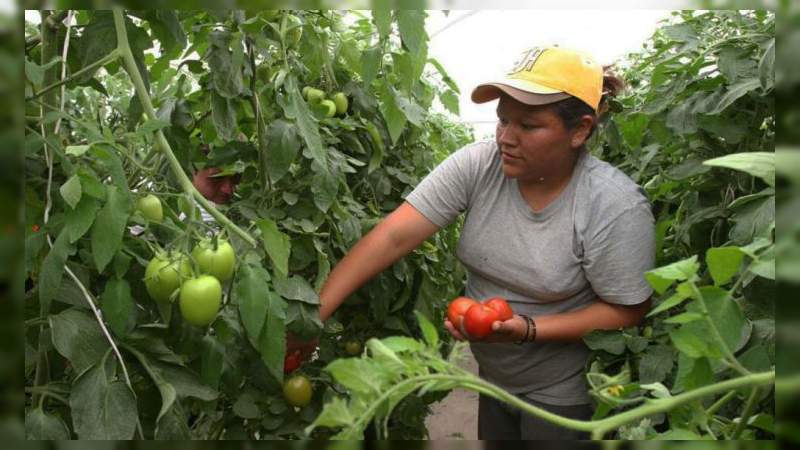 Sagarpa y Mujeres Empresarias del Campo acuerdan financiamiento para proyectos agroalimentarios 