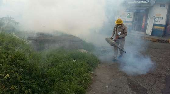 Coordinación entre autoridades de los tres niveles permitirá disminuir dengue y Chikungunya 