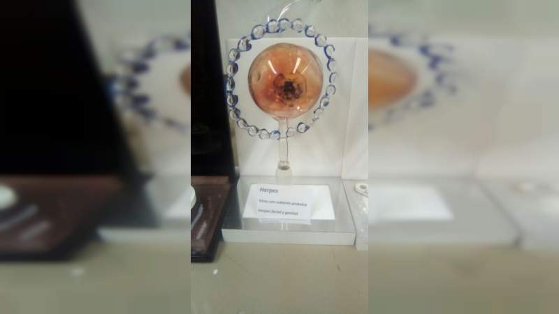 Arte y ciencia cristalina, acercamiento al soplado  de vidrio científico, en el librofest metropolitano 2018 - Foto 4 