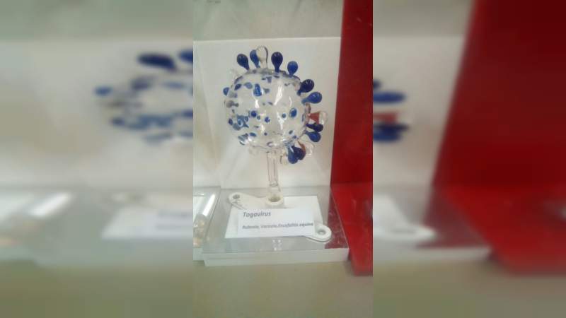 Arte y ciencia cristalina, acercamiento al soplado  de vidrio científico, en el librofest metropolitano 2018 - Foto 5 