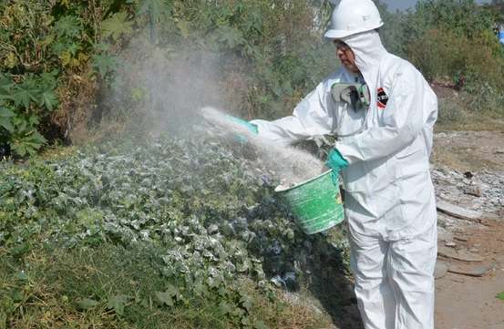 Ayuntamiento de Morelia emprenderá acciones contra mosquito en panteones 