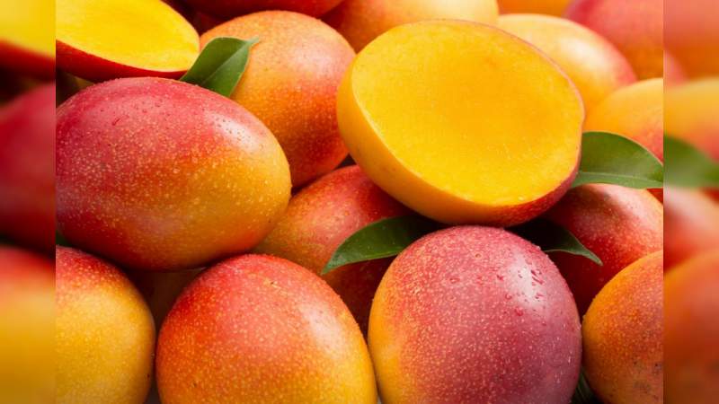 Productos del campo michoacano, exportados a 45 países: Sedrua - Foto 0 
