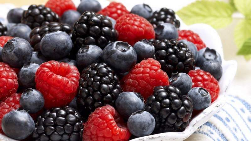 Productos del campo michoacano, exportados a 45 países: Sedrua - Foto 1 