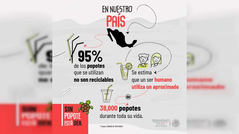 Promueve Semarnat campaña para evitar el uso del popote - Foto 0 