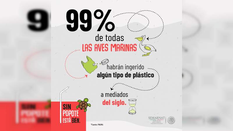 Promueve Semarnat campaña para evitar el uso del popote - Foto 1 