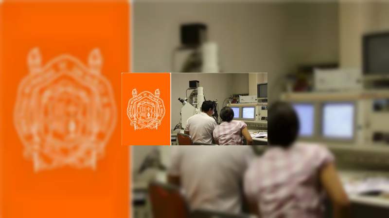 Abierta convocatoria para programa de Maestría en Metalurgia y Ciencia de los Materiales en la Casa de Hidalgo - Foto 2 