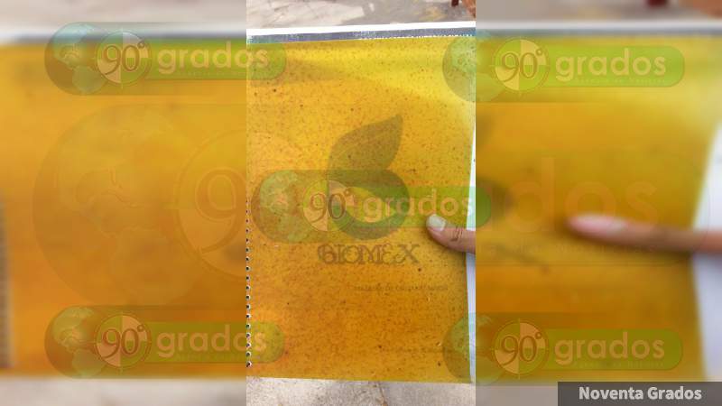 Producen bioplástico en el Instituto Tecnológico de Morelia - Foto 0 