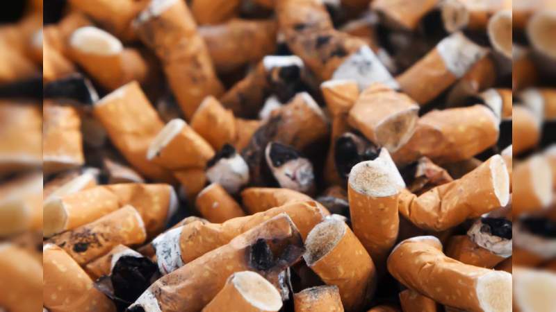 A partir de colillas de cigarro, científico mexicano elabora celulosa para fabricar papel 