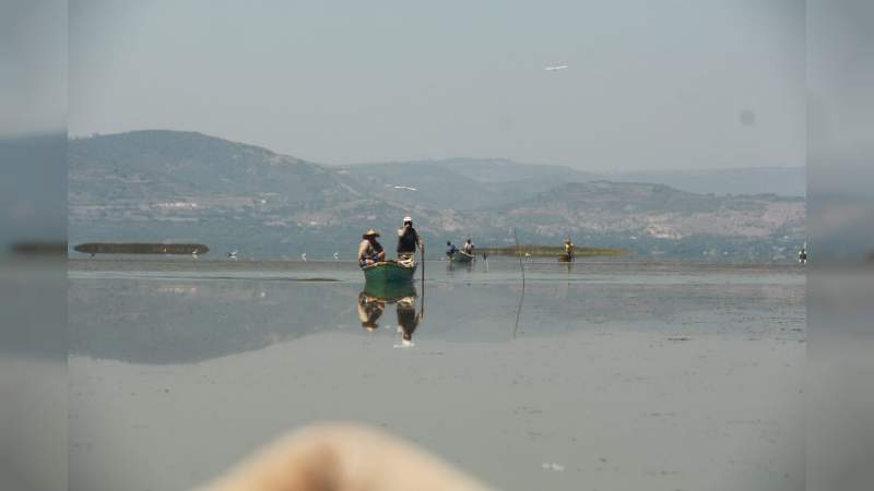 Antonio Sosa pondrá puntual atención al rescate y saneamiento del lago de Cuitzeo - Foto 1 