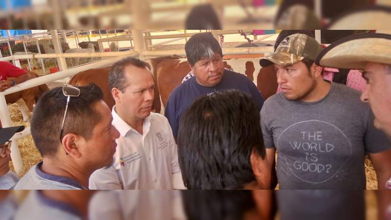 Se impulsa en Michoacán nuevo modelo de extensionismo rural - Foto 0 