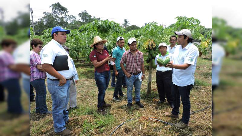Se impulsa en Michoacán nuevo modelo de extensionismo rural - Foto 1 