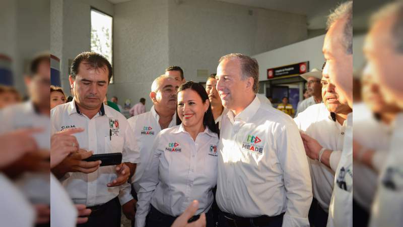 Con los autodefensas no hay ley ni Estado: Meade 