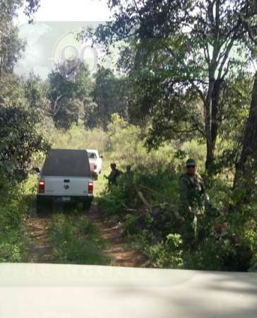 Ejército asegura narcolaboratorio en Quiroga, Michoacán - Foto 3 