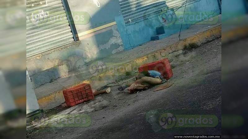 Dejan cadáver descuartizado de joven taxista en Eduardo Neri, Guerrero  