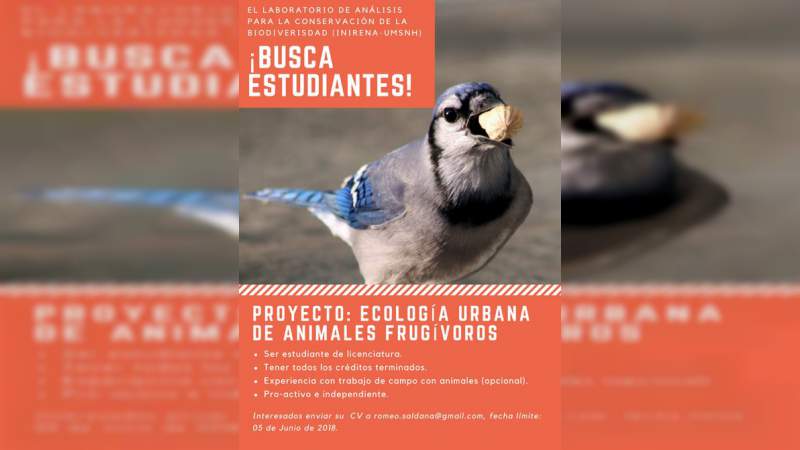 Invitan a alumnos de licenciatura, para participar en proyecto de investigación en el INIRENA 