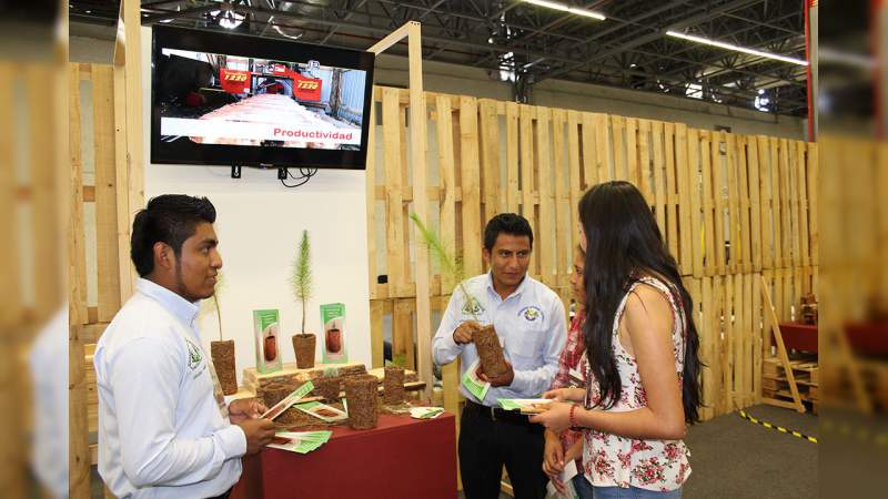 Abre CONAFOR 20 espacios para Campus Expo Forestal - Foto 1 
