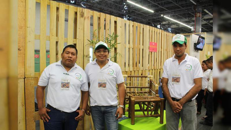 Abre CONAFOR 20 espacios para Campus Expo Forestal - Foto 2 