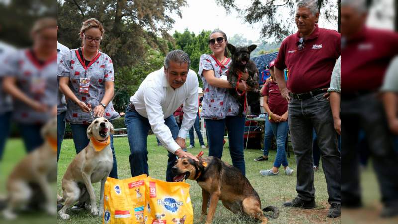 Raúl Morón impulsará en Morelia Políticas Públicas hacia el Bienestar Animal - Foto 0 