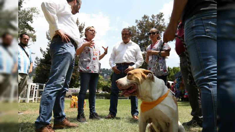 Raúl Morón impulsará en Morelia Políticas Públicas hacia el Bienestar Animal - Foto 1 