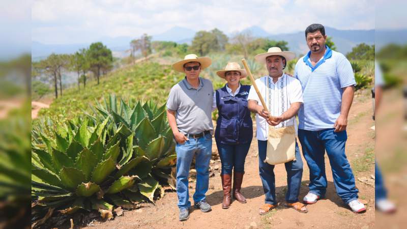 Se reúnen mezcaleros con Alma Mireya González y respaldan proyecto de al frente por Michoacán - Foto 1 