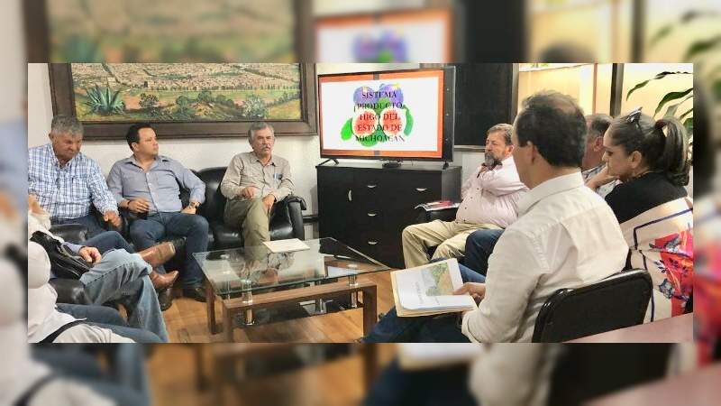 Se expande cultivo de higo en Michoacán: Sedrua - Foto 0 