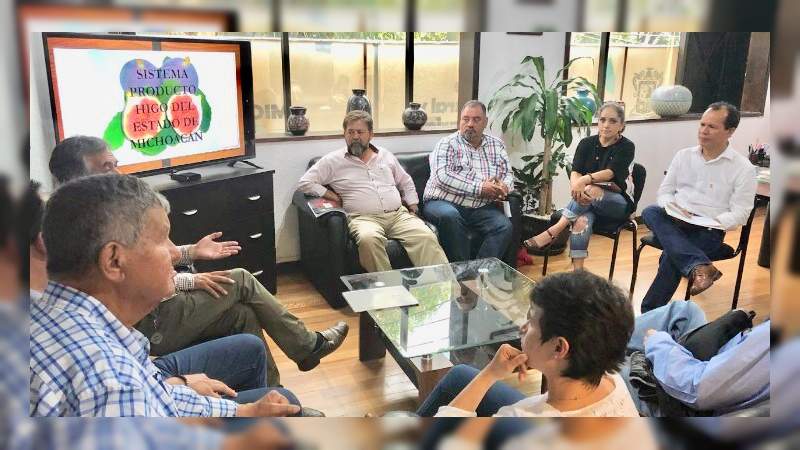 Se expande cultivo de higo en Michoacán: Sedrua - Foto 1 