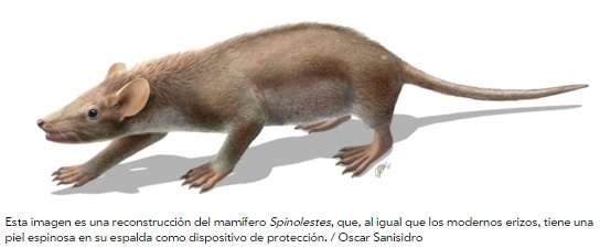 Descubren en España un pequeño mamífero de la época de los dinosaurios - Foto 1 