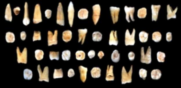 Los humanos habitan China desde hace más de 80.000 años - Foto 0 