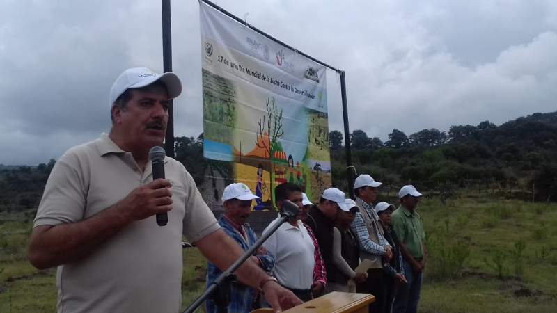 Establecen 15 mil nuevas plantas en Coeneo, Michoacán - Foto 1 