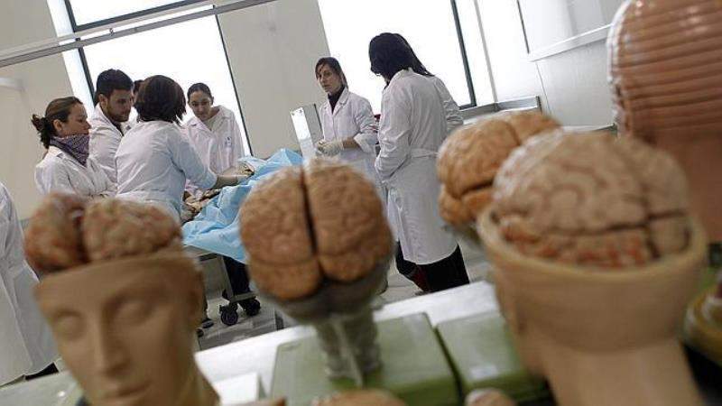 Se incrementa en 43 mil el número de estudiantes de medicina en los últimos 8 años: SSA 