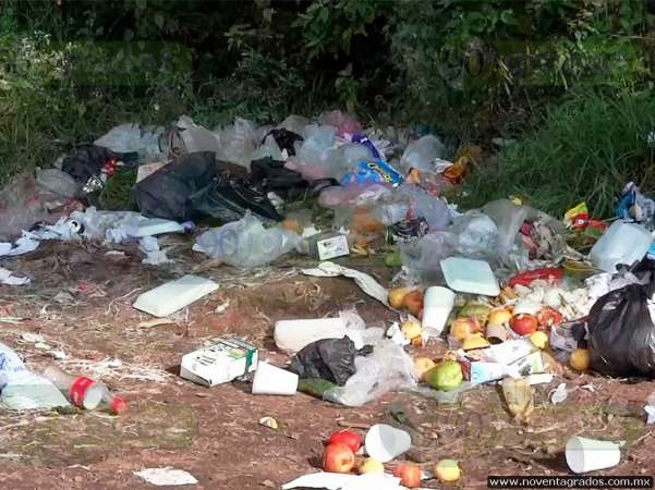 Ocampo en pésimas condiciones, pese a llegada de turistas a la Mariposa Monarca - Foto 0 