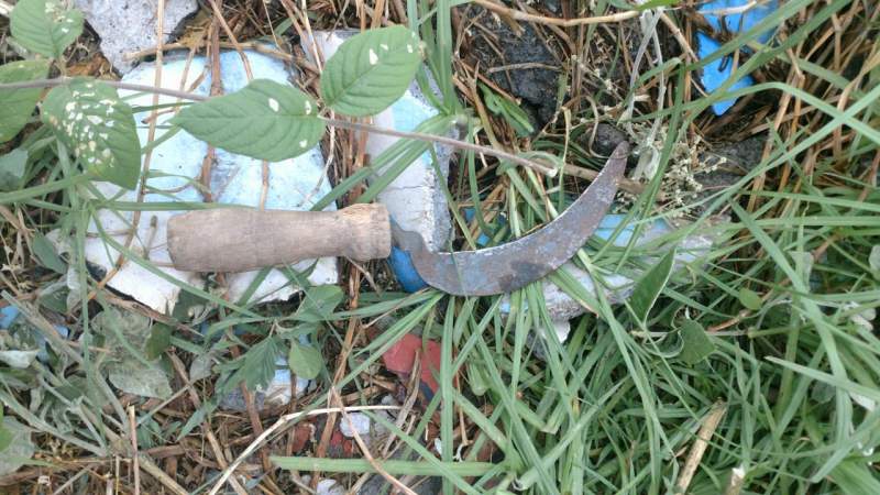 Exhorta Jonathan Sanata a concluir campañas libres de guerra sucia - Foto 2 