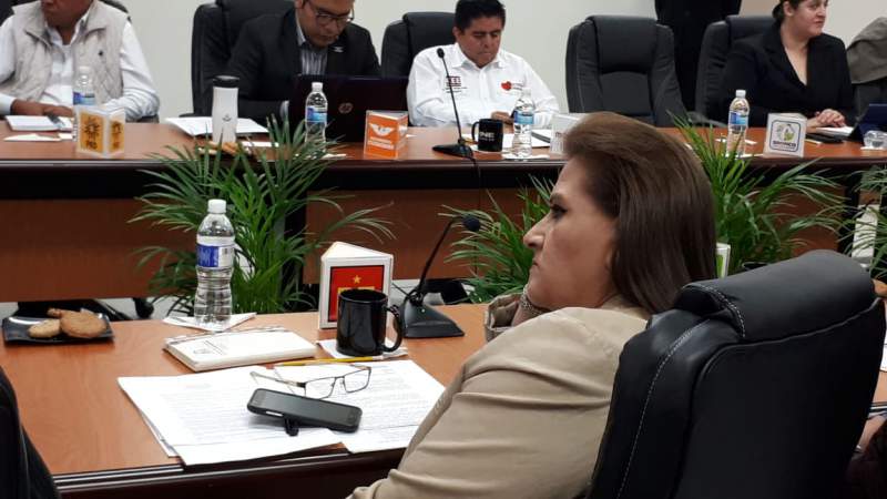 “Lo más desaseado” en este proceso con boletas manchadas, borradas, rasgadas, nombres incompletos y cruzados: Partido del Trabajo - Foto 1 