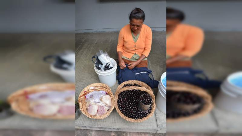 La Universidad Michoacana, solidaria con las comunidades indígenas: Medardo Serna - Foto 0 