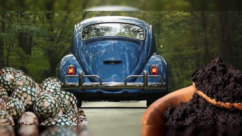 Residuos de agave y café para aligerar materiales en la industria automotriz 