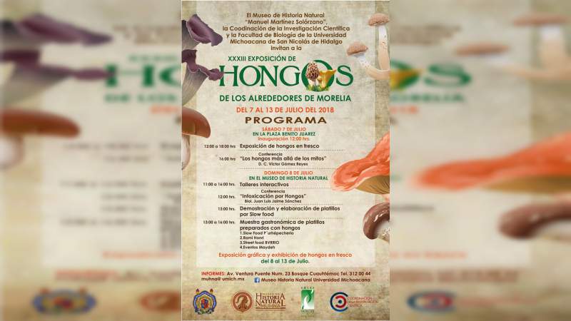Esta semana exposición de Hongos de Morelia en la UMSNH 