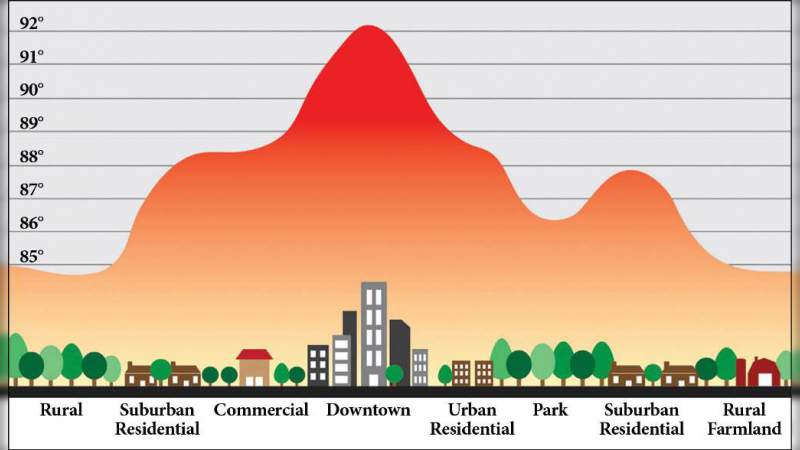 Propone universitario crear parques modulares en la Ciudad de México para contrarrestar las islas de calor 