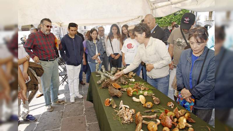 Presencia del conocimiento nicolaita en la Plaza Juárez 