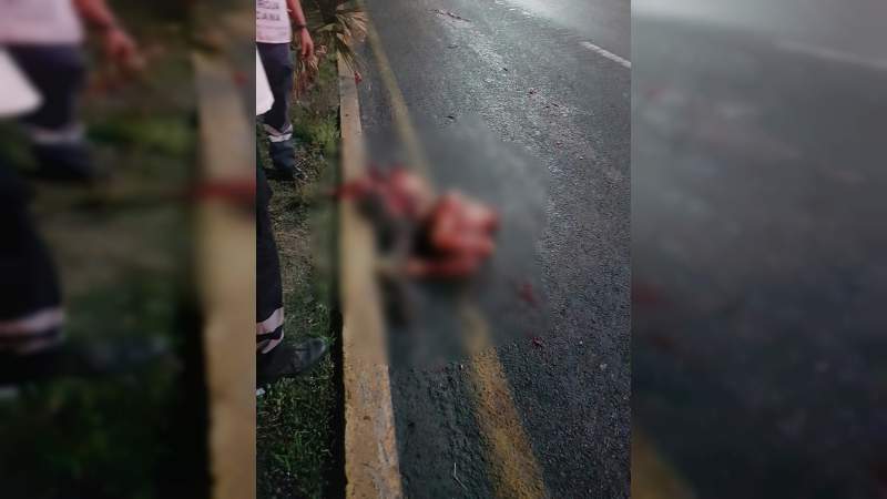 Muere atropellado en calles de Acapulco, Guerrero  