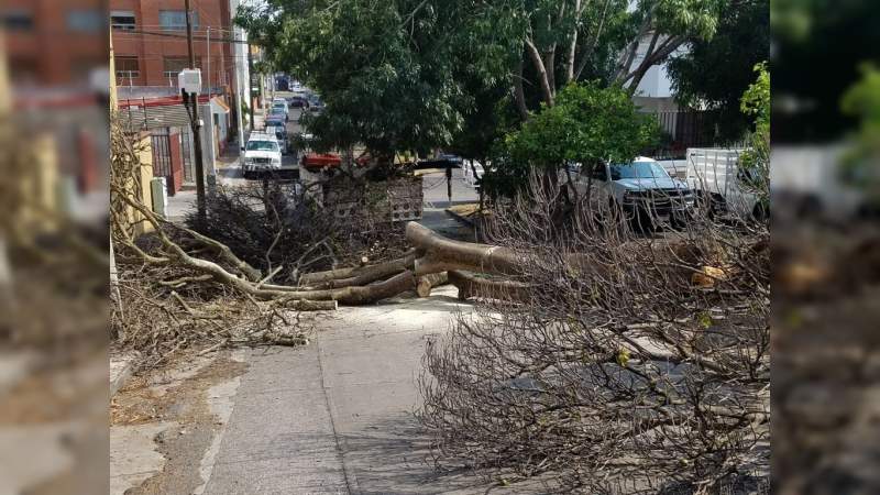 Secretaría de Servicios Públicos llama a tomar precauciones viales durante esta semana en Bosques de la Huerta   
