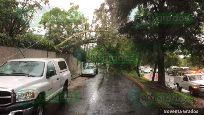 Cae un árbol en el Zoológico de Morelia y se inunda la lateral de la Juárez  - Foto 1 
