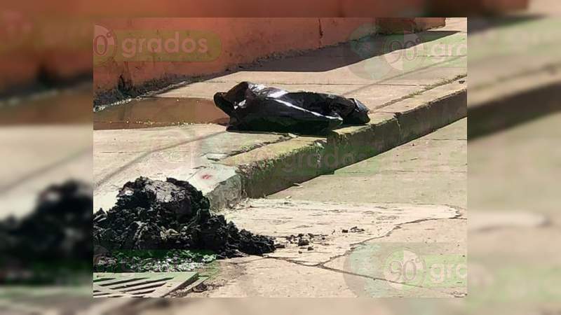 Seis asesinados y descuartizados en las últimas horas en Irapuato, Guanajuato - Foto 0 