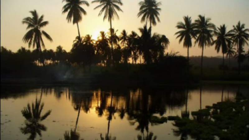 Belleza en su estado más puro la Costa Michoacana: Sectur - Foto 3 