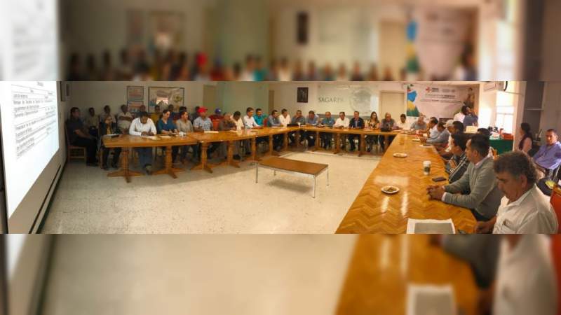Blinda y fortalece Sedrua la producción de mango en Michoacán 