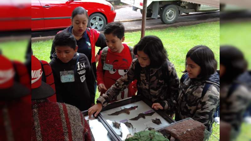 Fomentan conservación ambiental con curso de verano en Michoacán   - Foto 1 