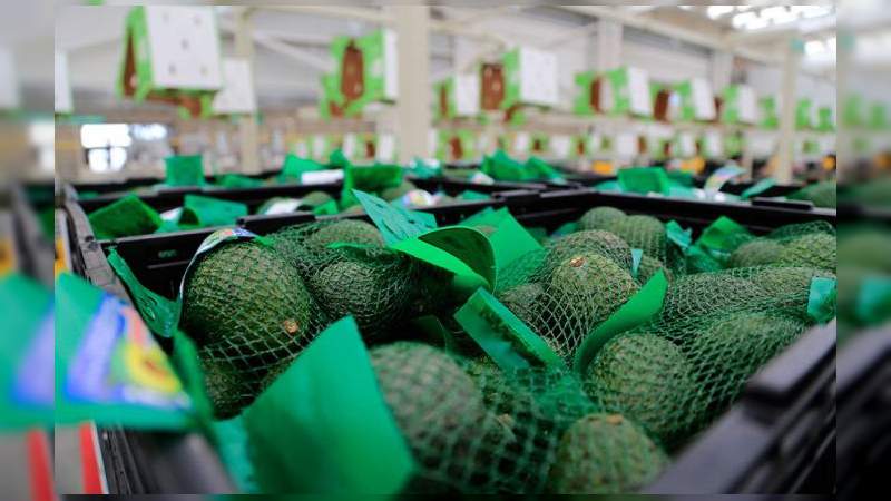 México exportó más de 1.4 millones de toneladas de alimentos en julio 