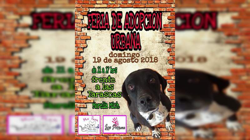 Mañana, Octava Feria de Adopción Canina del año en la Calzada San Diego, frente a Las Tarascas 
