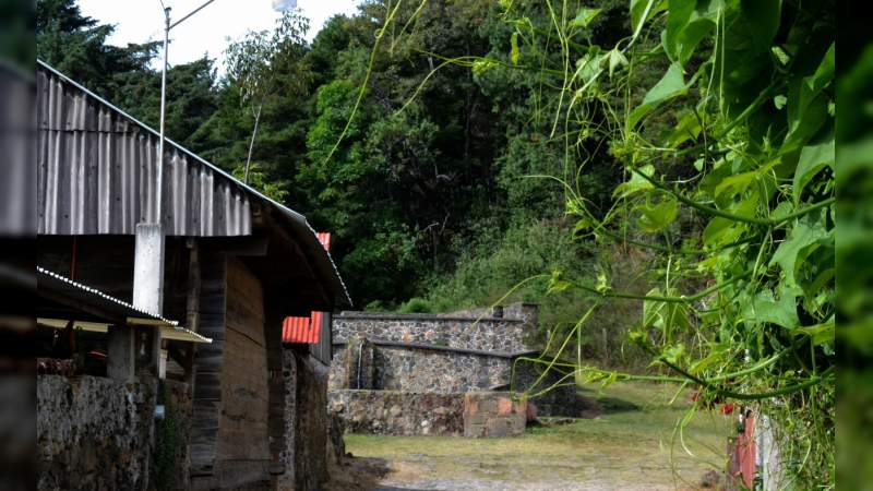 Será en Uruapan, y no en  Zacán el Día del Artesano - Foto 3 