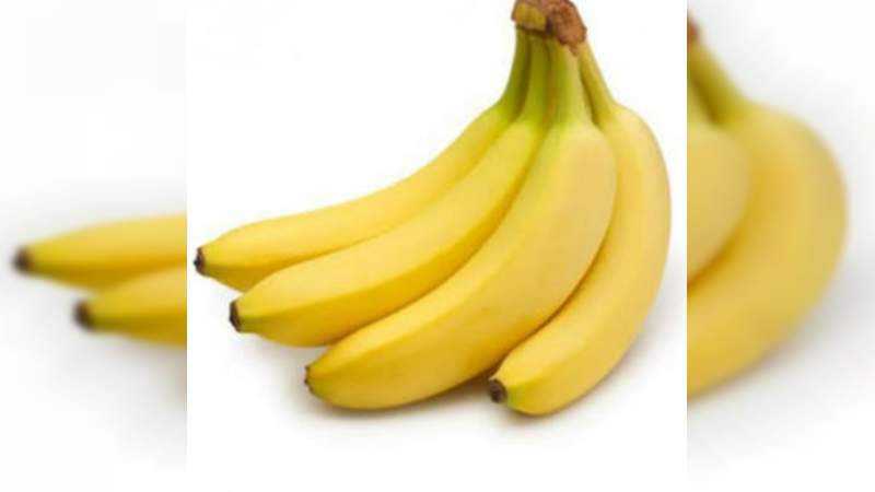 Proyectan exportar plátano que se cultiva en Tierra Caliente a Europa 
