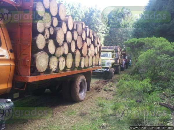 Detienen a 15 presuntos talamontes con 457 rollos de madera, en Maravatío, Michoacán - Foto 0 